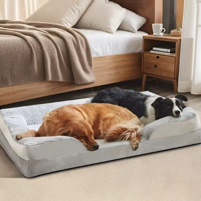 Deux chiens allongés paisiblement sur un canapé pour chien gris douillet posé dans une pièce lumineuse