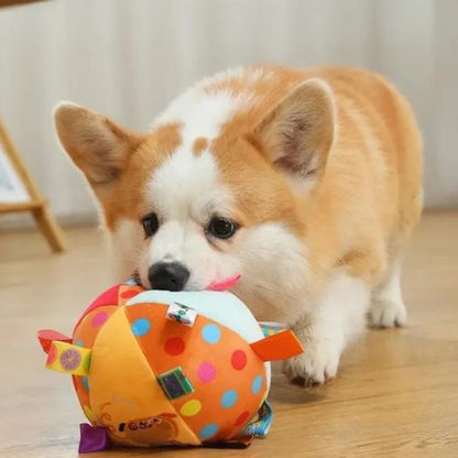 Balle Chien en peluche Joyaballe