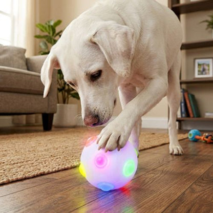 grand chien blanc jouant avec une balle lumineuse pour chien multicolore à LED