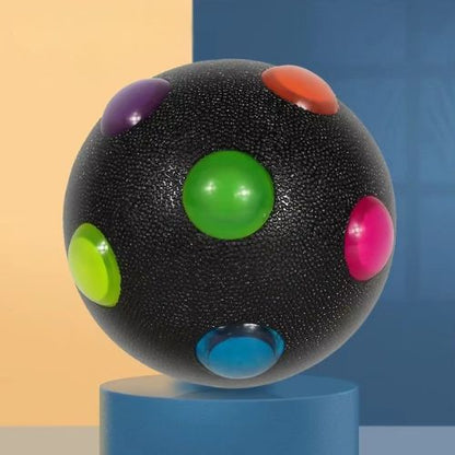 balle pour chien lumineuse noire idéale pour les jeux nocturnes et la dépense physique