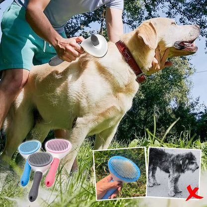 Brosse-pour-chien-labrador-tout-type-de-poils-facile-a-nettoyer
