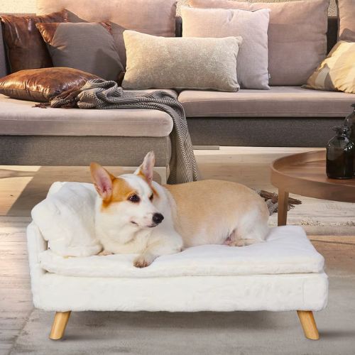 Petit chien allongé sur un canapé chien beige confortable et élégant