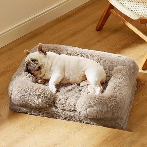 Chien Bouledogue français couché sur un canapé pour chien marron moelleux, alliant douceur et sécurité.