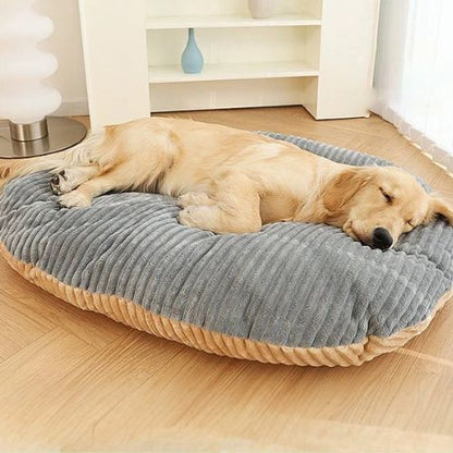Un Golden Retriever dort paisiblement sur un coussin pour chien déhoussable confortable posé dans un salon chaleureux.