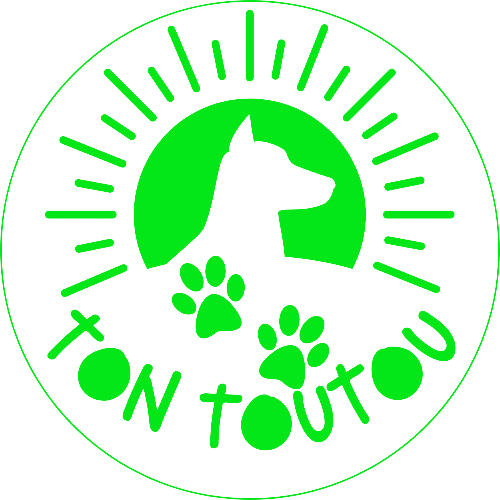Tontoutou