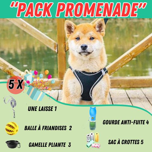 Harnais-laisse-gourde-gamelle-balle-noir-sac-a-crottes-pour-chien