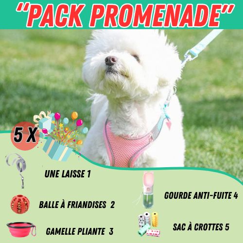 Harnais-laisse-gourde-gamelle-balle-rose-sac-a-crottes-pour-chien