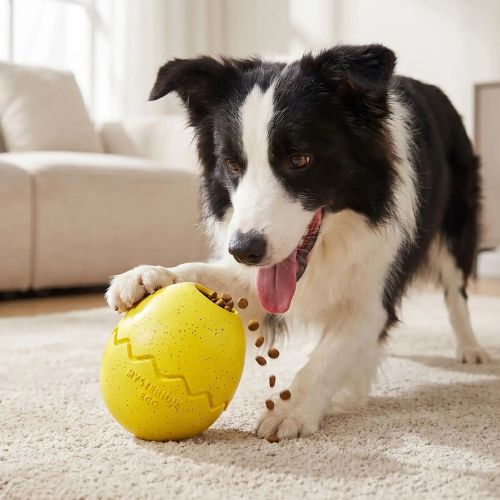 Jouet chien interactif jaune distribuant des croquettes pour occuper et stimuler l'intelligence du chien.