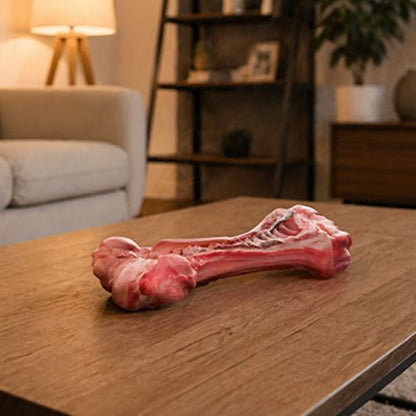 Jouet chien en forme d'os rouge posé sur table basse en bois dans salon moderne - accessoire ludique pour animal de compagnie.