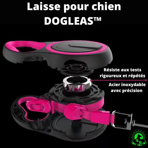 Laisse-chien