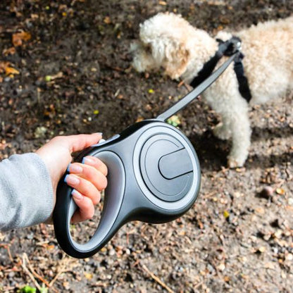 Laisse pour chien gris vibrante, un compagnon canin joyeux guidé en ville par sa propriétaire, style et sécurité combinés.