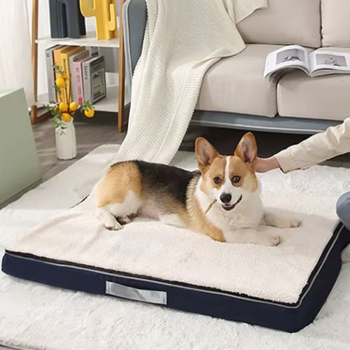 Un Corgi allongé sur un lit chien rembourré beige, caressé par une femme dans un salon chaleureux