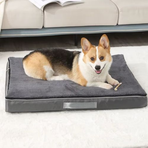 Lit chien orthopédique douillet  gris, utilisé par un Corgi allongé dans un intérieur cosy
