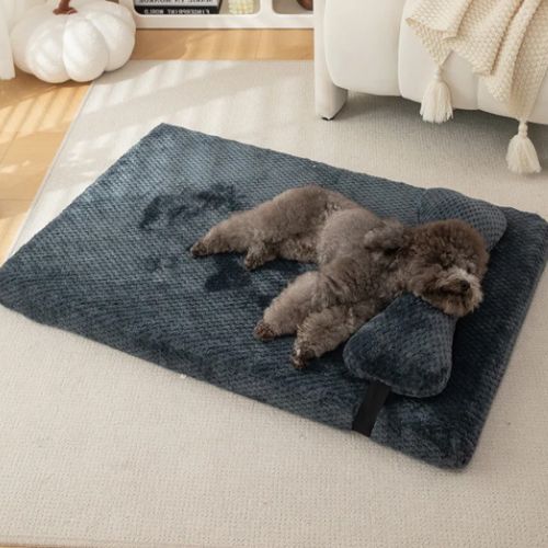Lit chien gris foncé Ortholit, matelas orthopédique moelleux pour le repos des animaux
