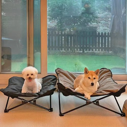 Deux chiens allongés confortablement sur un lit de camp pour chien pliable couleur dans une pièce chaleureuse.
