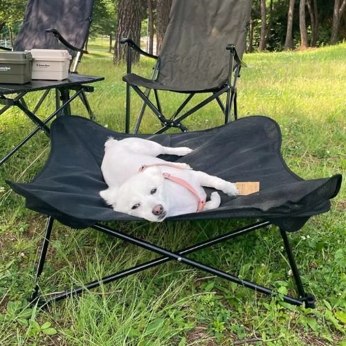 Lit de camp pour chien léger et pratique couleur noir idéale pour un pique-nique