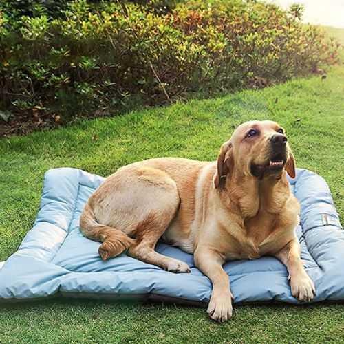 Lit de camping pour chien Aventure