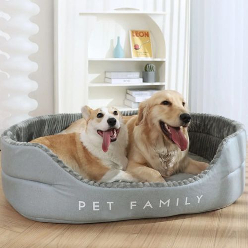 Deux chiens détendus allongés ensemble dans un lit pour chien gris confortable