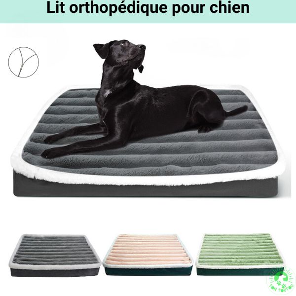 Lit-pour-chien-orthopedique-les-couleurs