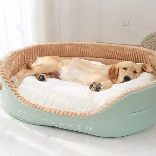 Golden retriever endormi sur un lit pour chien vert moelleux avec rebords surélevés