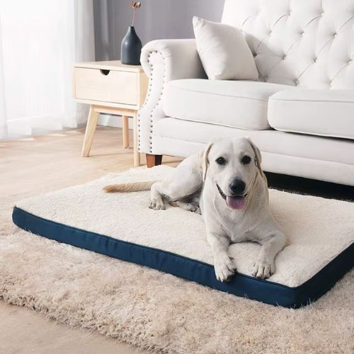 Lit chien beige confortable pour grand chien, utilisé par un Labrador allongé dans un intérieur cosy