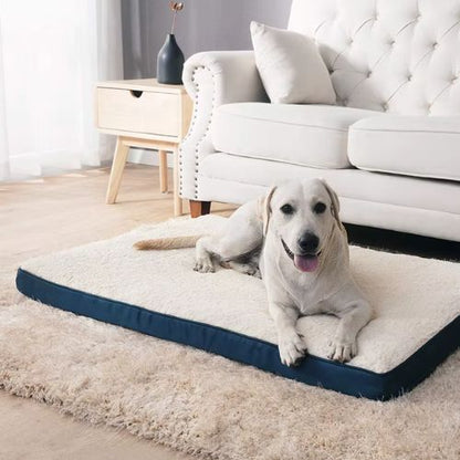 Lit chien beige confortable pour grand chien, utilisé par un Labrador allongé dans un intérieur cosy
