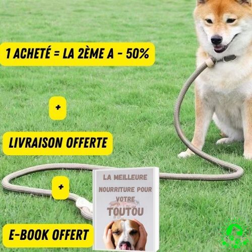 LAISSE POUR CHIEN | TRAININGLEAD™