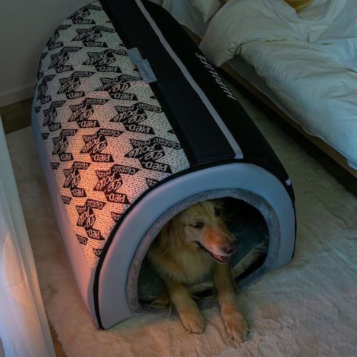 Grand chien allongé dans une niche XXL pour chien confortable et anti-stress, au design moderne, placée dans une chambre chaleureuse avec tapis moelleux et lumière douce
