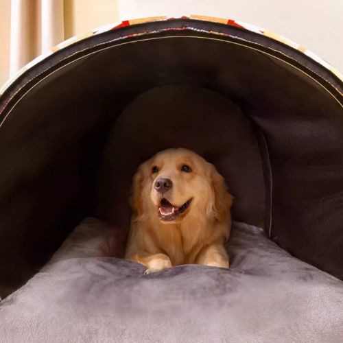 Un labrador allongé dans une niche XXL  pour chien confortable et anti-stress, au design moderne