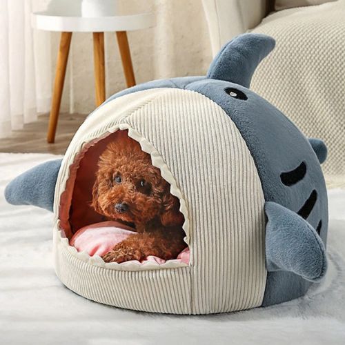 Petit chien marron installé confortablement dans une niche interieur chien en forme de requin bleu