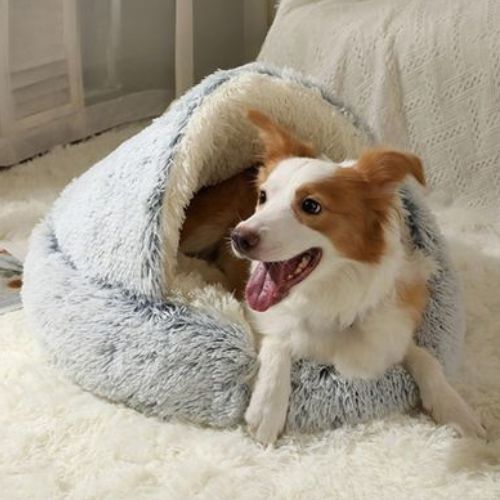 Panier Chien | DogCloud