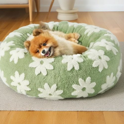 Chien Pomeranian détendu dans un panier chien vert à motifs fleurs blanches, forme ronde et rebords rembourrés pour un confort apaisant.