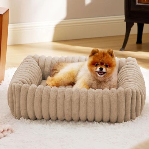 panier pour chien beige douillet en tissu côtelé, parfait pour petits chiens comme le spitz