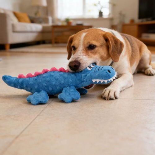 Chien Beagle allongé dans un salon en train de mâchouiller une peluche pour chien crocodile bleue