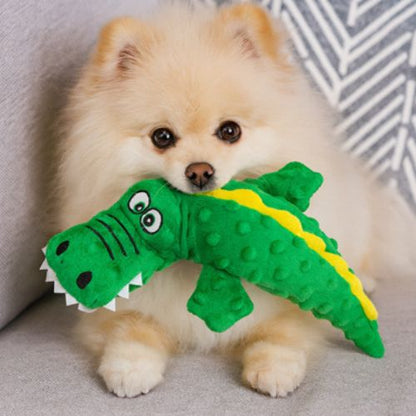Petit chien de race Spitz tenant dans sa gueule une peluche pour chien crocodile verte
