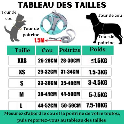 Tableau-des-tailles-harnais-petit-chien