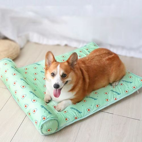 Chien heureux reposant sur un tapis rafraichissant chien de couleur vert avec un coussin intégré clair