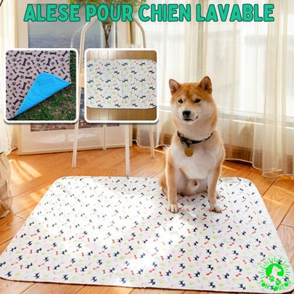 alese-pour-chien-dressage-reutilisable-antiderapant-lavable-blanc-resistante
