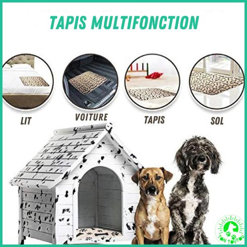 alese-pour-chien-economique-reutilisable-durable-multifonction