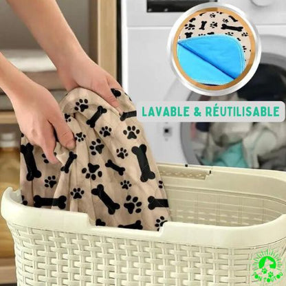 alese-pour-chien-economique-reutilisable-durable-resistant-lavable-impermeable
