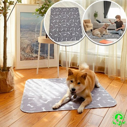 alese-pour-chien-dressage-resistante-reutilisable-antiderapant-lavable-gris