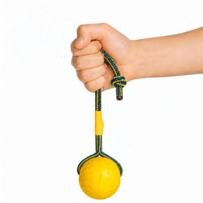 Main tenant une balle avec corde chien jaune sur fond blanc.