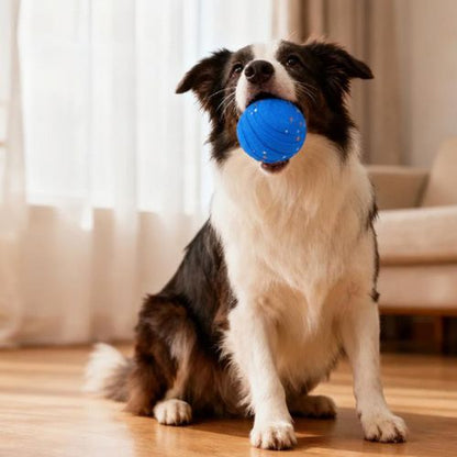 Chien assis tenant dans sa gueule une balle chien bleue pour jouer