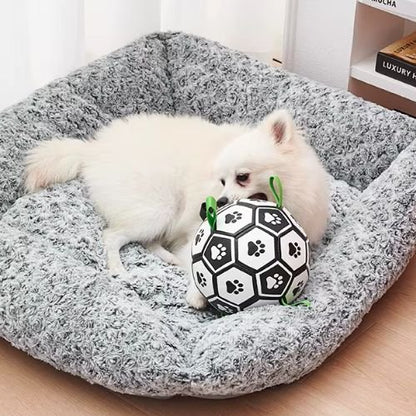 Balle chien douce et interactive posée avec un petit chien blanc allongé confortablement dans son panier douillet.