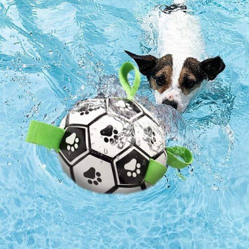 Balle chien aquatique et flottante avec un chien qui nage dans l'eau de la piscine