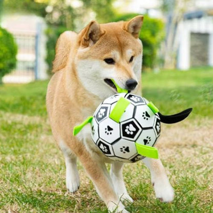 Balle pour chien interactive tenue dans la gueule par un Shiba Inu courant sur une pelouse verte en extérieur.