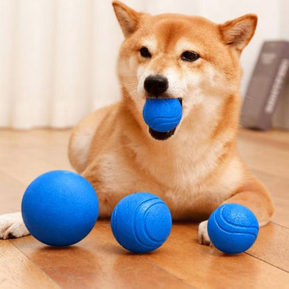 Un chien Shiba Inu avec trois balles indestructibles pour chien de tailles différentes (M, L, XL) alignées devant lui.