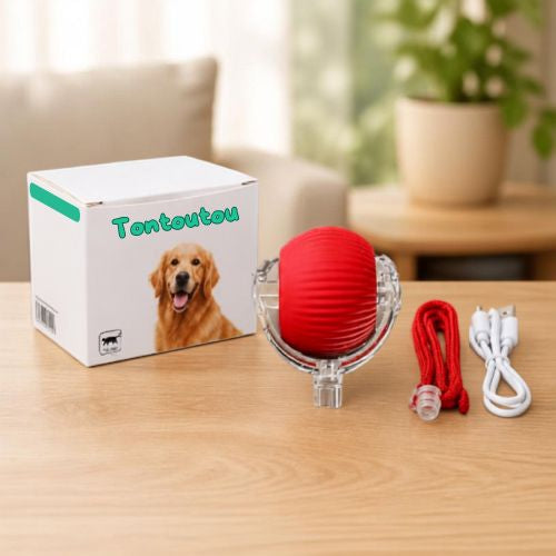emballage et contenu de la balle interactive pour chien Tontoutou avec accessoires et câble USB