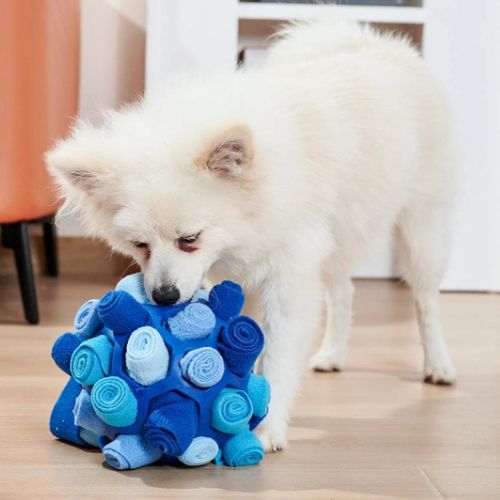 Un petit chien blanc occuper de jouer avec une balle pour chien à croquettes bleu conçu pour diminue son stress