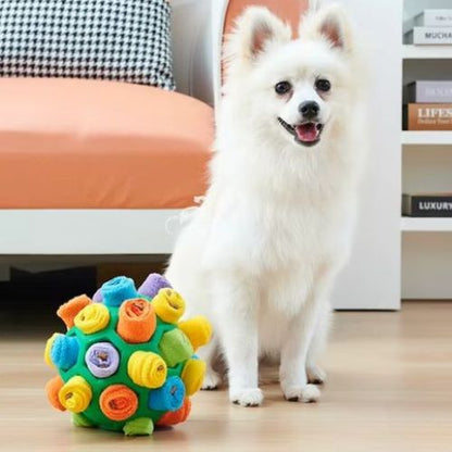 balle pour chien vert à croquettes dans une pièce lumineuse et un petit chien assis à côté.